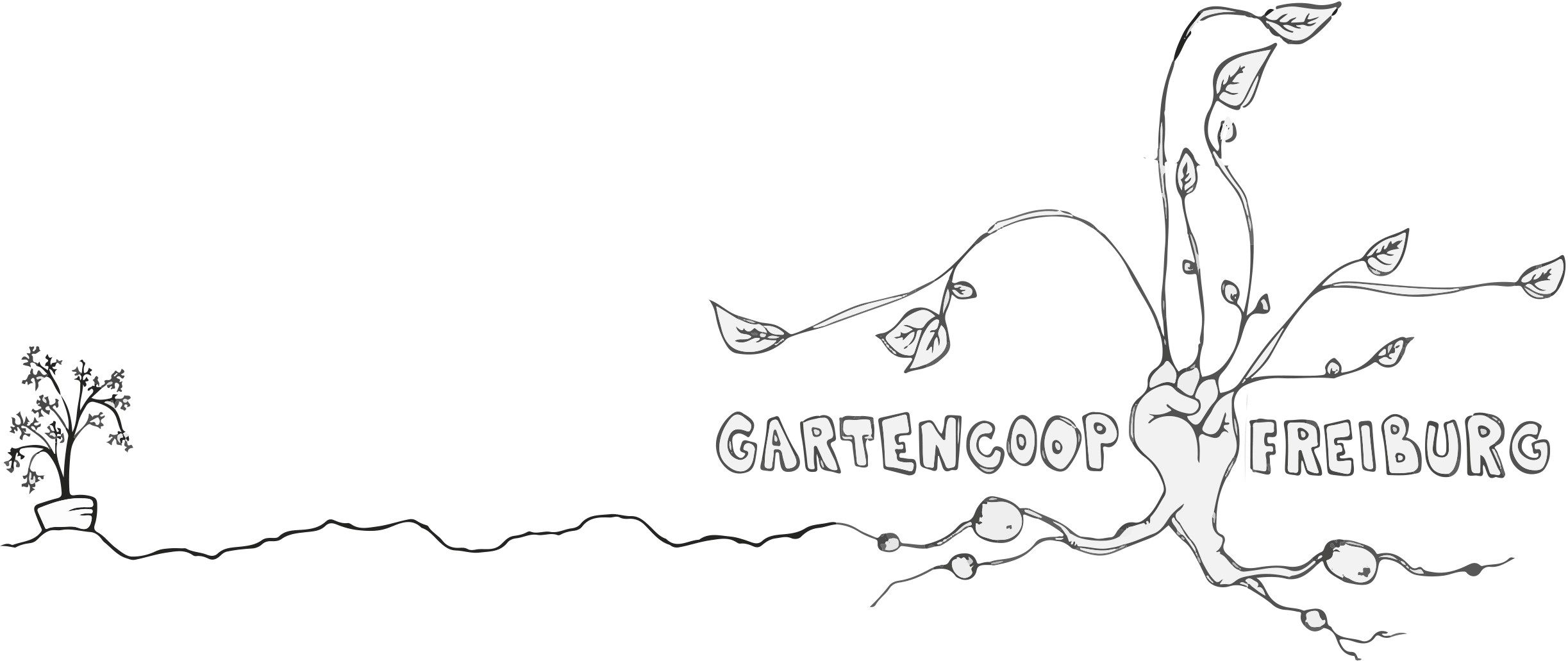 Gartencoop – SoLaWi based in Freiburg