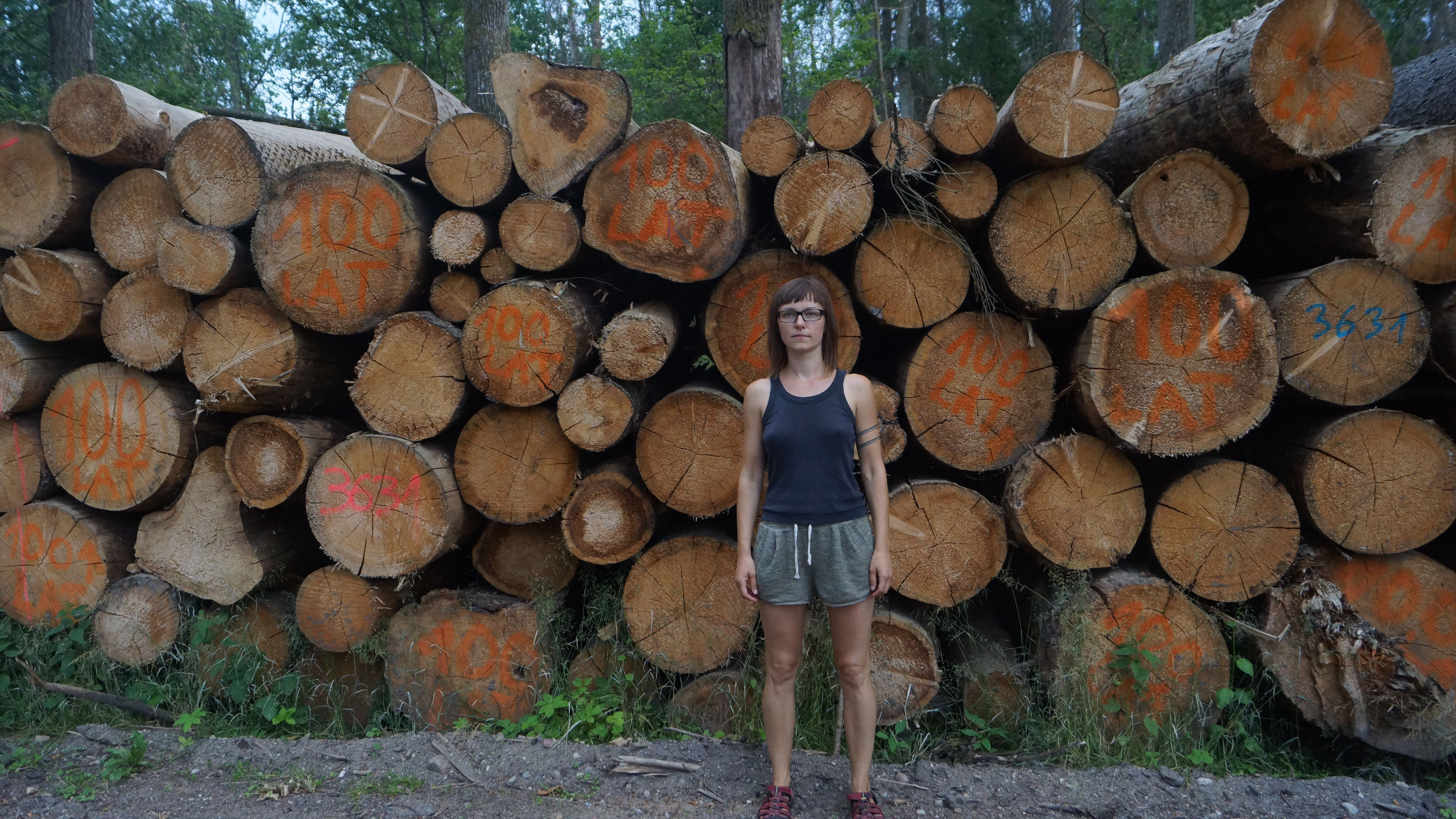 Kinga, stays infront of illegal logged oaks.