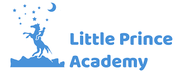 Little-Prince-Academy helps people with disabilities in Turkey